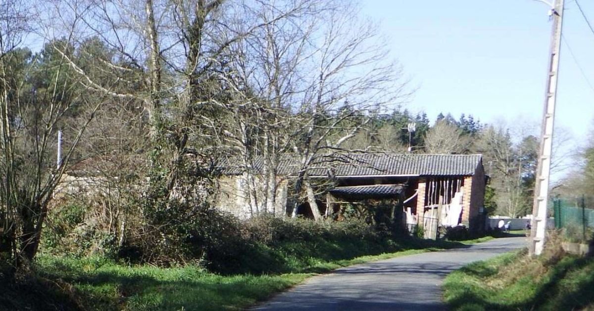 Casanova Camino de Santiago Frances