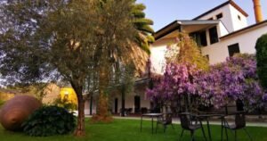 Albergue Vina Femita Camino de Santiago Frances 5 300x158