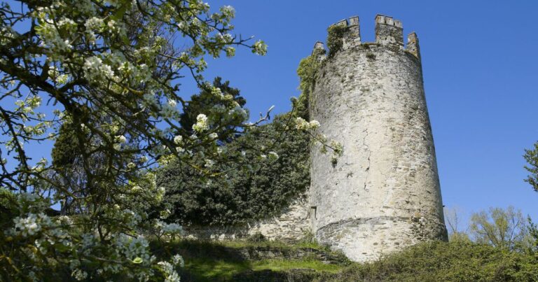 Castillo de Sarria Camino de Santiago Frances 2 768x403