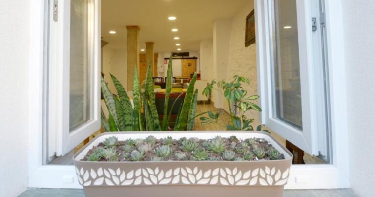 Hostel El Campano Camino de Santiago Frances 8 768x403