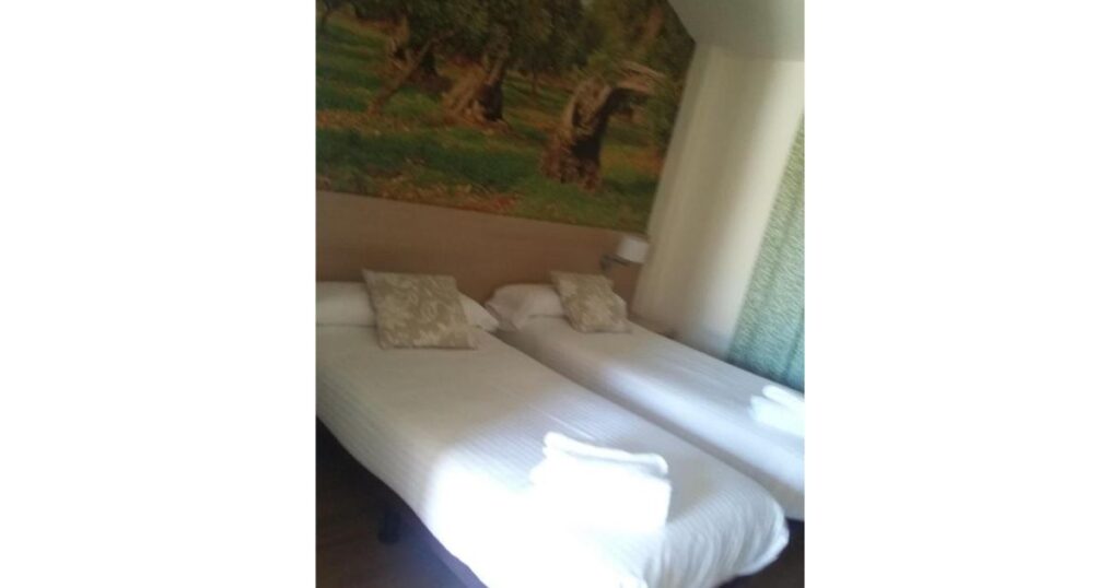 Hostal Rural San Andres Torres del Rio Camino de Santiago Frances 7 1024x538