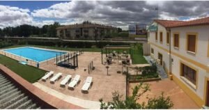delfin verde 02 300x158