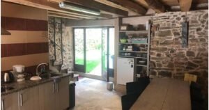 gabino el ganso 04 300x158