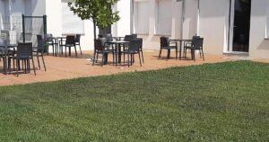 gonzar 02 300x158