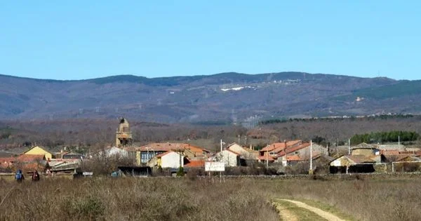 El Ganso Camino de Santiago Frances