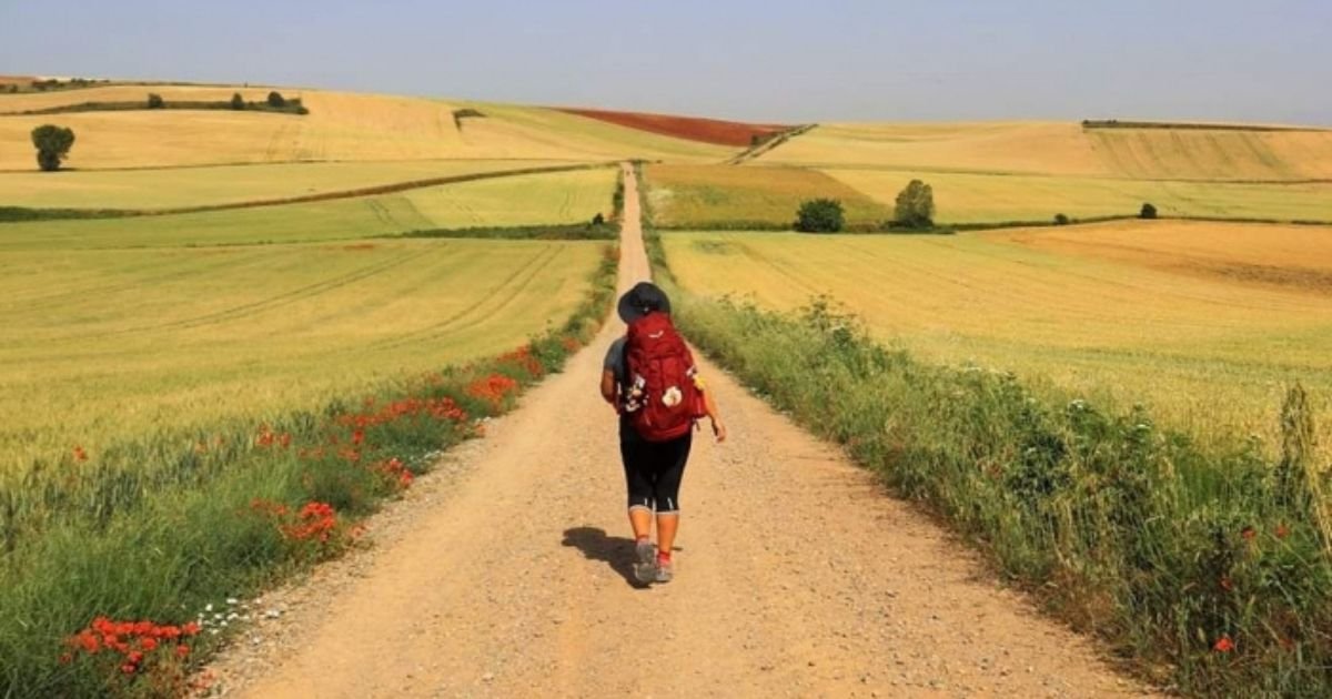 Peregrinos Camino de Santiago Francés
