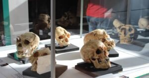 Museo Marca Camino de Santiago Frances 7 300x158