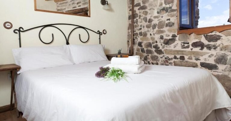 Casa Rural La Rosa del Agua Camino de Santiago Frances 3 768x403