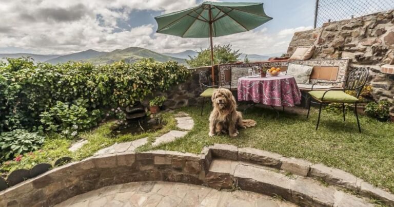 Casa Rural La Trucha del Arco Iris Camino de Santiago Frances 11 768x403