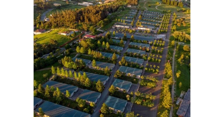 Albergue Monte do Go 3zo Camino de Santiago Frances 4 768x403