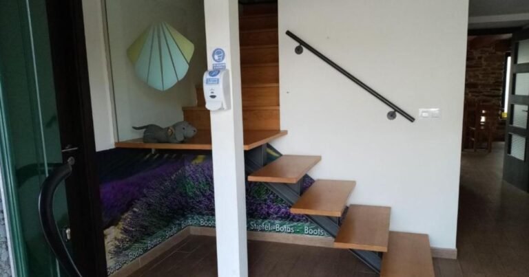 Albergue Oasis Sarria Camino de Santiago Frances 7 768x403