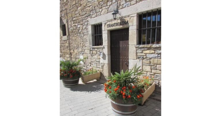 Casa Rural Txantxorena Zubiri Camino de Santiago Frances 10 768x403