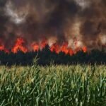 Incendio en Toques y Melide mas de 300 hectareas arrasadas Camino de Santiago Frances