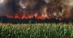 Incendio en Toques y Melide mas de 300 hectareas arrasadas Camino de Santiago Frances