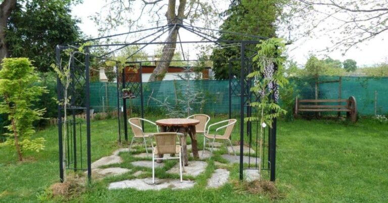 Pension Albergue A Pedra Camino de Santiago Frances 14 768x403