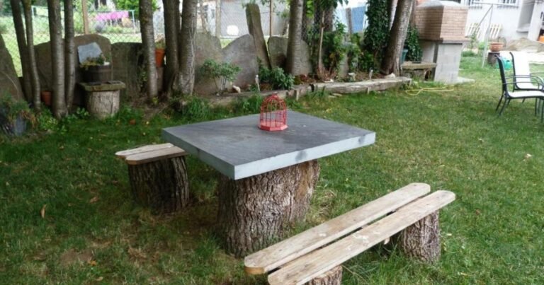 Pension Albergue A Pedra Camino de Santiago Frances 16 768x403