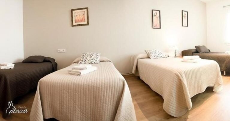 Pension Plaza Palas de Rei Camino de Santiago Frances 2 768x403