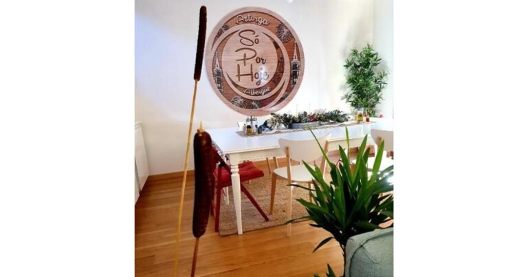 Albergue So Por Hoje Astorga Camino de Santiago Frances 9 768x403