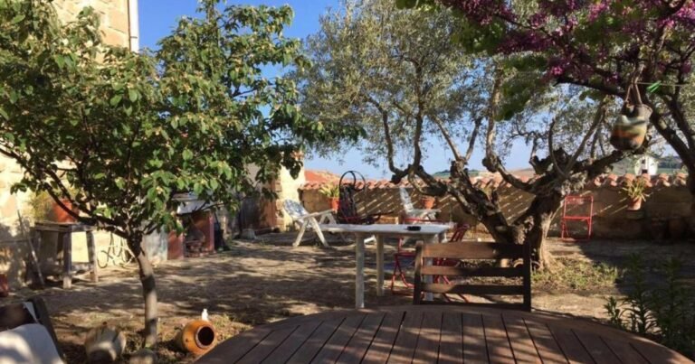 Casa Rural El Olivo de Sansol Camino de Santiago Frances 12 768x403