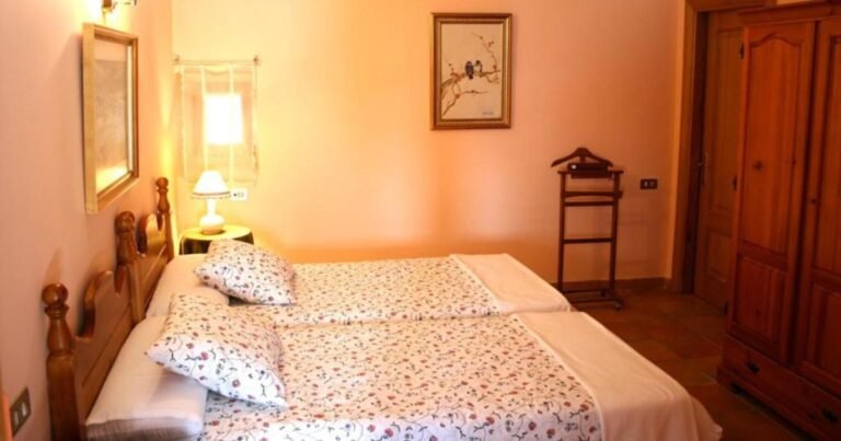 Casa Rural El Olivo de Sansol Camino de Santiago Frances 14 768x403