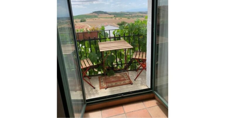 Casa Rural El Olivo de Sansol Camino de Santiago Frances 6 768x403