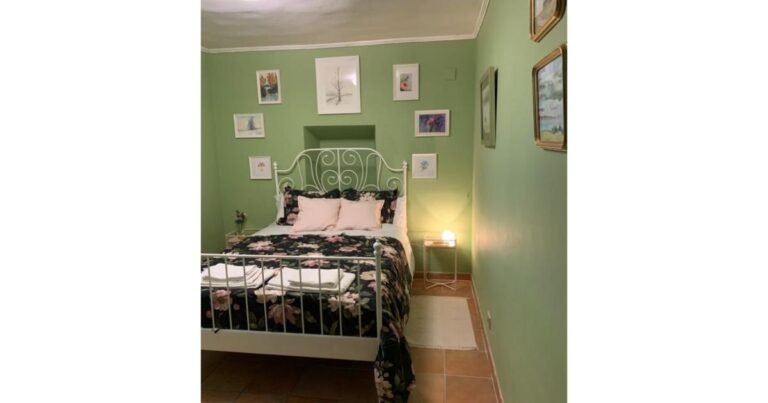 Casa Rural El Olivo de Sansol Camino de Santiago Frances 7 768x403