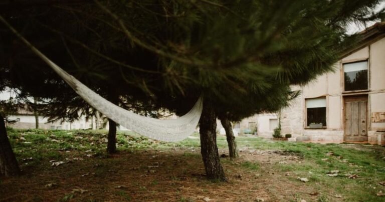 Casa Rural el Cocodrilo Camino de Santiago Frances 9 768x403