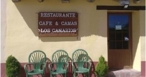 los canarios 01 300x158