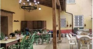los canarios 07 300x158
