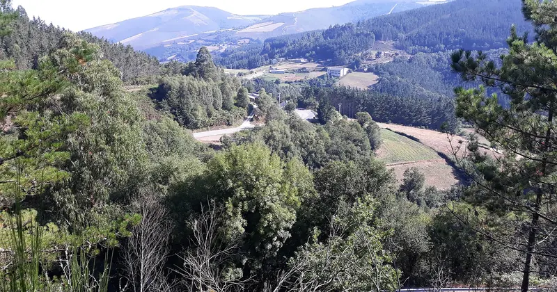 Montes y valles entre Paradavella y A Degolada, en el Camino de Santiago Primitivo